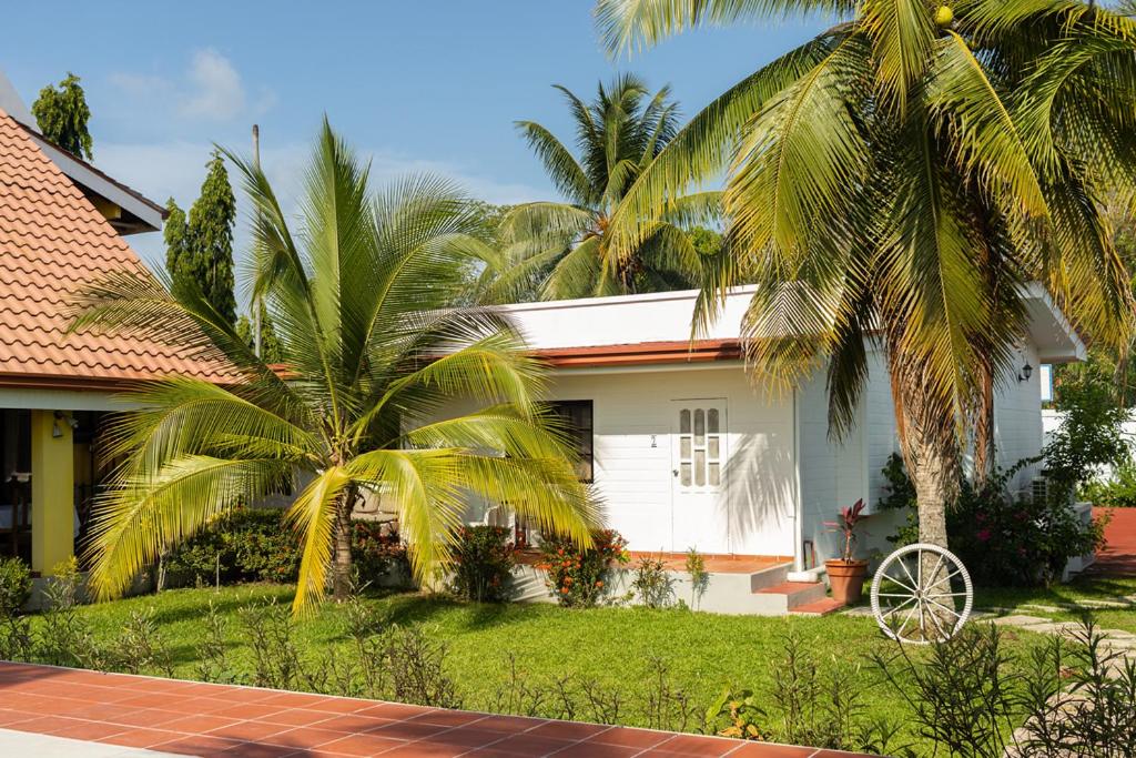 une maison avec deux palmiers devant elle dans l'établissement Estancia Florencia H#2, à Tela