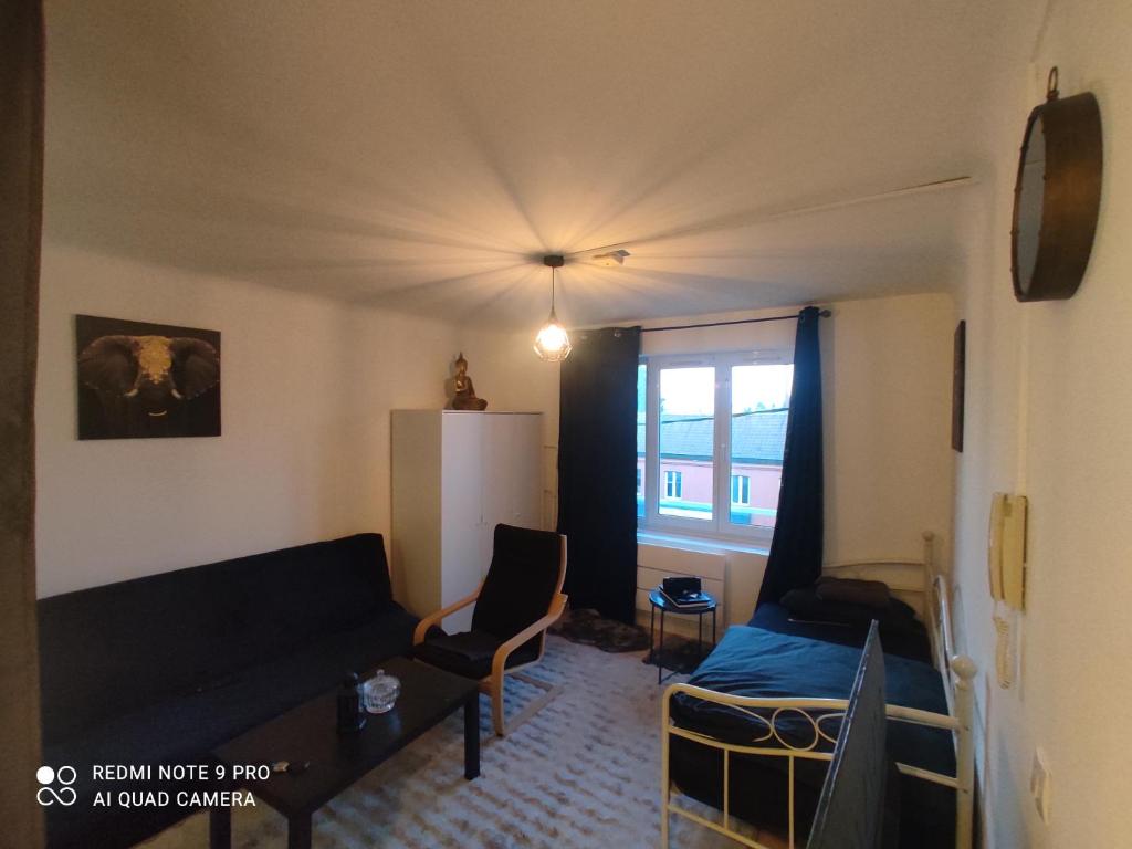 ein Wohnzimmer mit einem schwarzen Sofa und einem Fenster in der Unterkunft Studio Cosy tout équipé à Lille in Lille