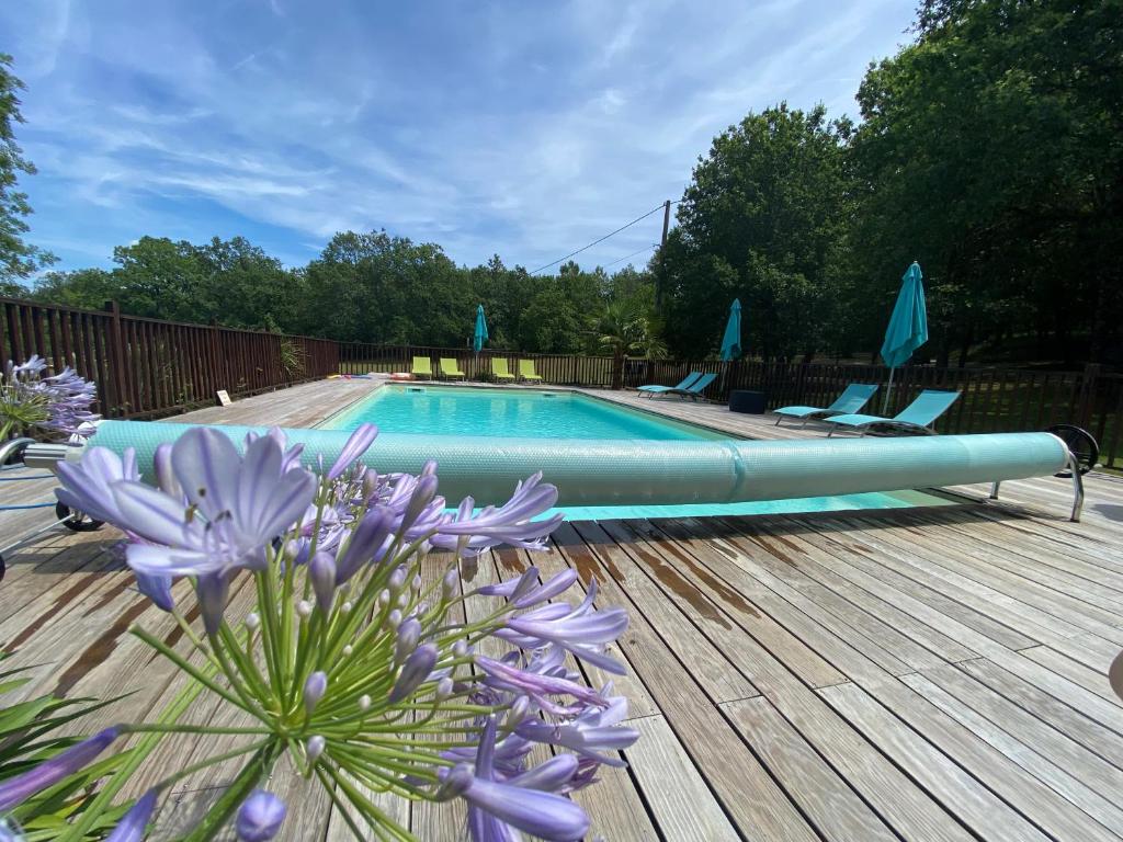 ein Pool mit einer lila Blume davor in der Unterkunft Gîte les chênes verts - Périgord noir in Saint-Amand-de-Coly