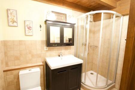 a bathroom with a shower and a sink and a toilet at Duplex el Pla de la Tour in Latour-de-Carol