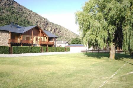 a house with a tree in a grassy yard at Duplex el Pla de la Tour in Latour-de-Carol