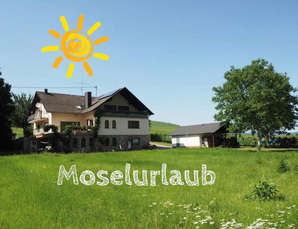 a house in a field with a sun in the sky at Landhaus Sonneninsel - Appartement in Minheim