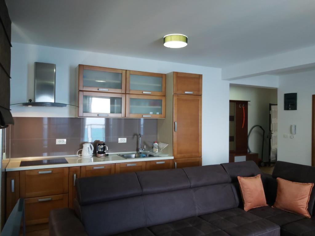 salon z kanapą i kuchnią w obiekcie Apartman AidaLux w mieście Bijela Glavica