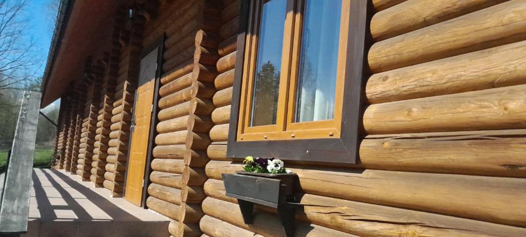 drewniany dom z oknem na boku w obiekcie Sowi Dwór w Nałęczowie