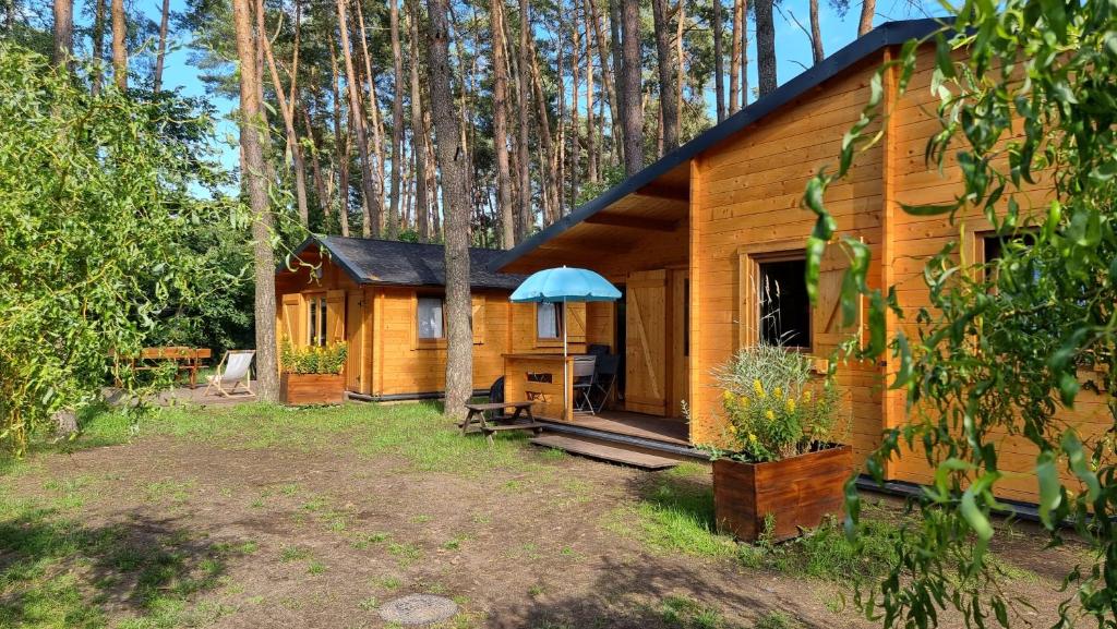 Vonkajšia záhrada v ubytovaní Ośrodek Moje El Dorado - domki letniskowe