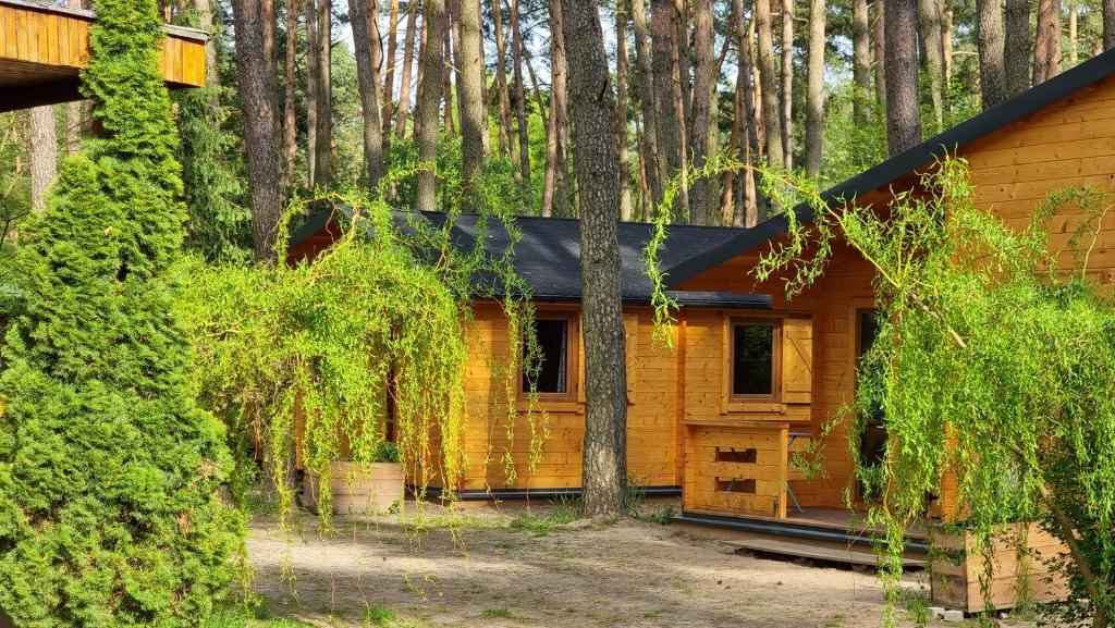 une cabane en rondins au milieu d'une forêt dans l'établissement Ośrodek Moje El Dorado - domki letniskowe, à Sieraków