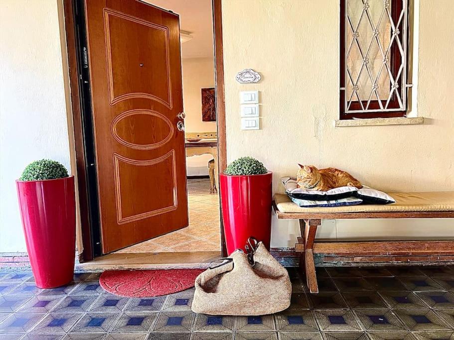 two cats sitting on a bench next to a door at Villa Maria Grazia in Lucca