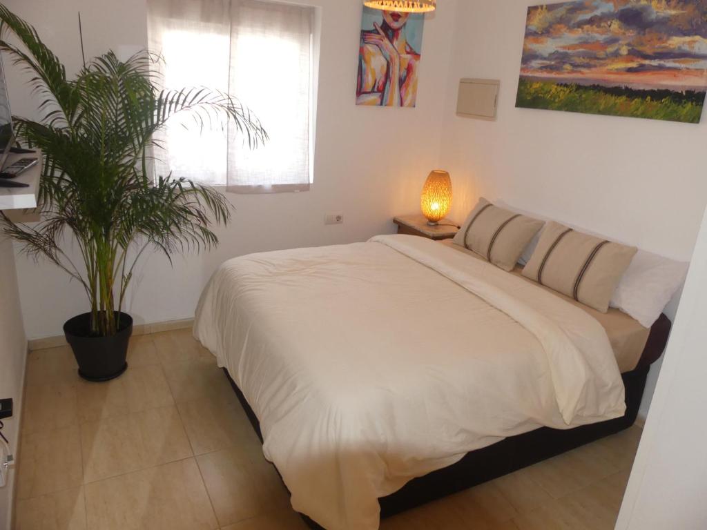 a bedroom with a bed and a potted plant at Alquilar apartamento Algeciras centro piso fibra wifi aire acondicionado in Algeciras