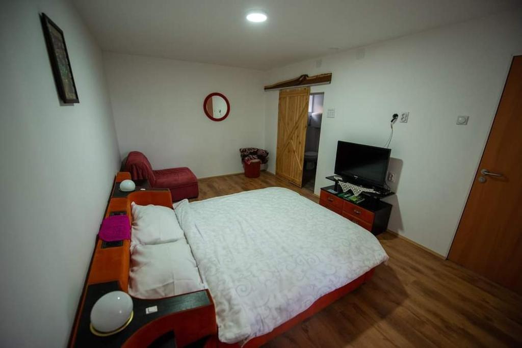 Postel nebo postele na pokoji v ubytování Domaćinstvo Radisavljevic