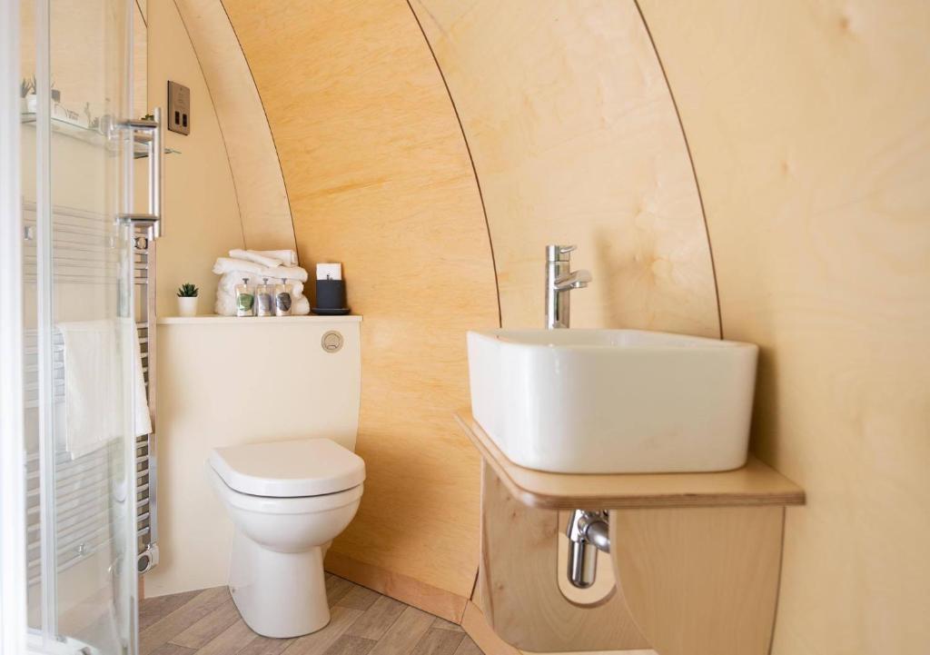 a bathroom with a toilet and a sink at Thornfield Farm Luxury Glamping Pods, The Dark Hedges, Ballycastle in Stranocum