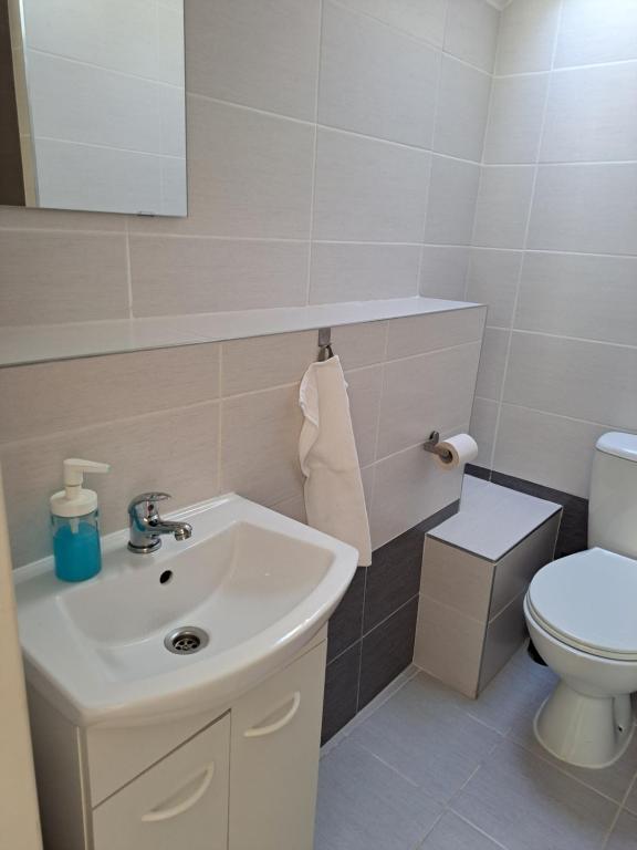 Koupelna v ubytování Apartmány Amália
