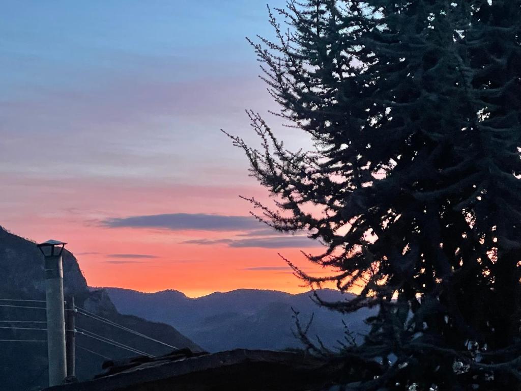 una puesta de sol en las montañas con un árbol en primer plano en Къща за гости Вино от глухарчета, en Borovo