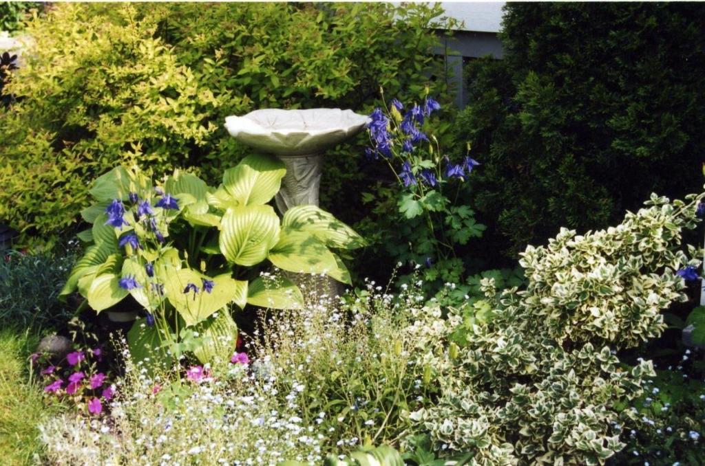 Giardino di Strathaird Bed and Breakfast