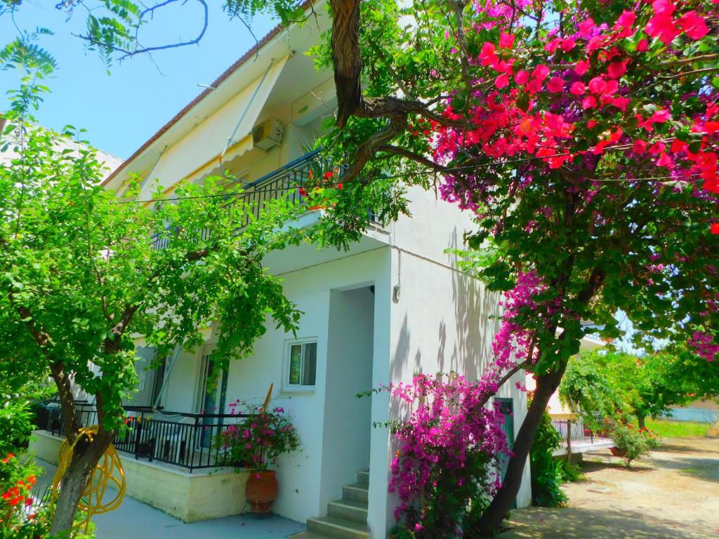 Zahrada ubytování Κωνσταντίνος Έλενα Studios