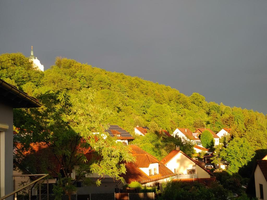Příroda nedaleko apartmánu
