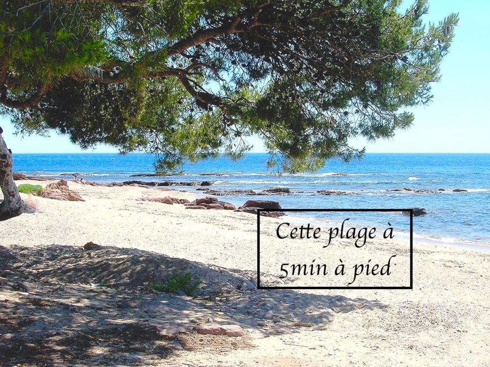 a sign on a beach with a tree and the ocean at Appartement Plage et Nature in Saint-Raphaël