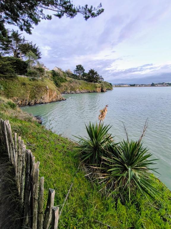 une girafe debout au milieu d'une masse d'eau dans l'établissement Maison Bretagne, à Saint-Jacut-de-la-Mer