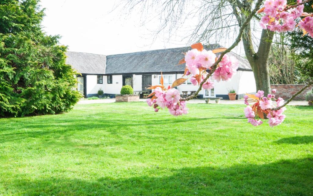 a tree with pink flowers in front of a house at Corner Cottage in Shaftesbury