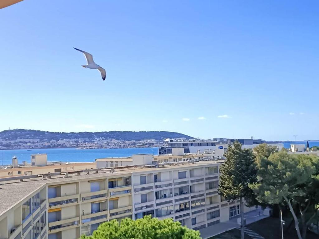 um pássaro a voar sobre um edifício com o oceano ao fundo em Appartement Balaruc-les-Bains, 1 pièce, 2 personnes - FR-1-571-24 em Balaruc-les-Bains