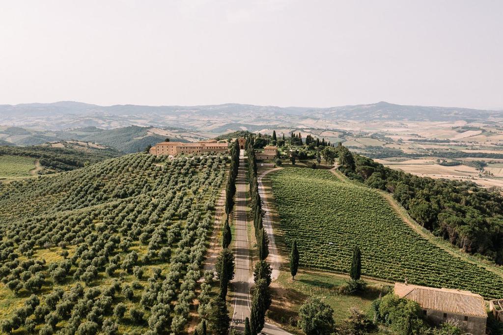 CinigianoにあるTenuta di Montecucco - ColleMassari Hospitalityの木々のぶどう畑の空中風景