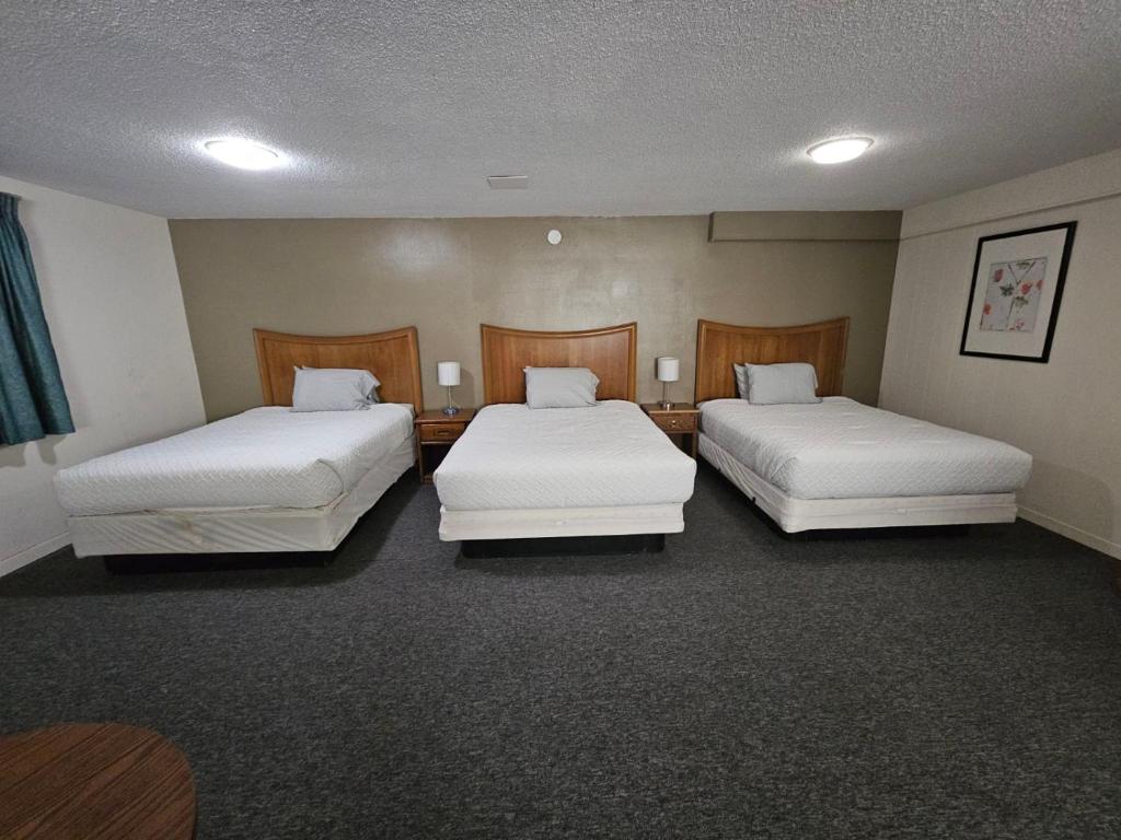 two beds in a hotel room with white sheets at Hastings Inn in Hastings