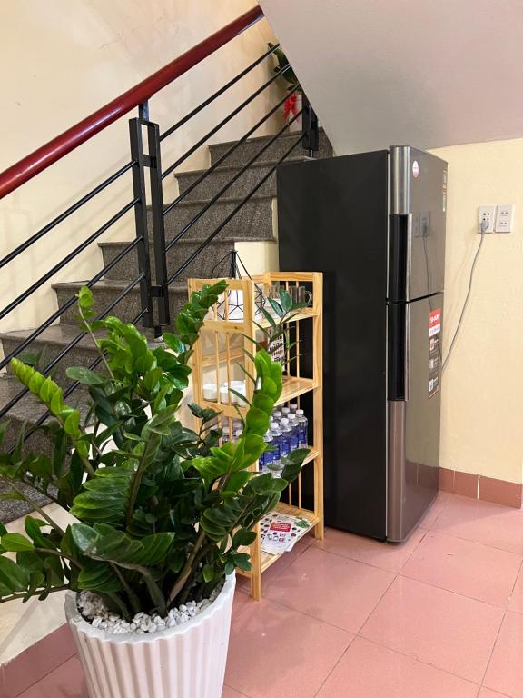 uma planta num vaso ao lado de um frigorífico em Neko Homestay Hue em Hue