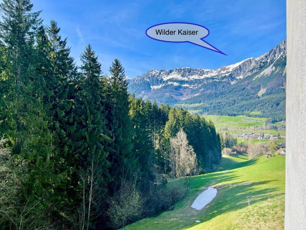 uma vista para um vale com árvores e uma montanha em Apartment Berghof Ellmau em Ellmau