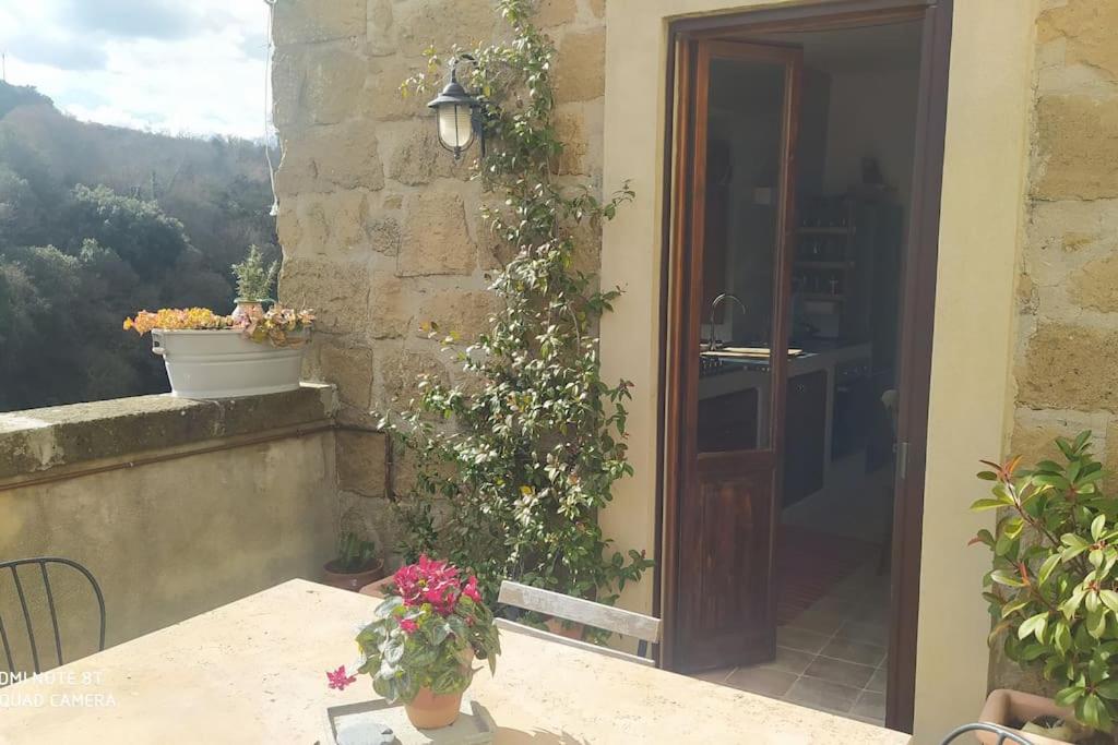 eine Terrasse mit einem Tisch und einer Pflanze, die an der Wand wächst in der Unterkunft la casetta nel borgo in Ischia di Castro