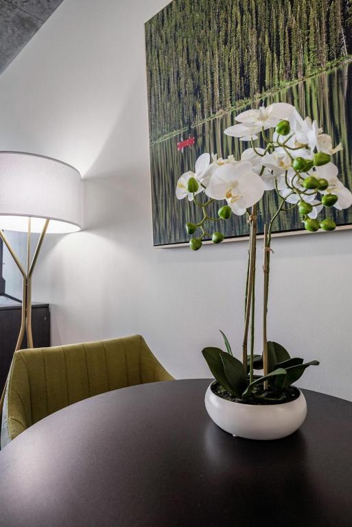 Luxurious Skyhouse Uptown Apartments in Charlotte North Carolina - Studio Supérieur