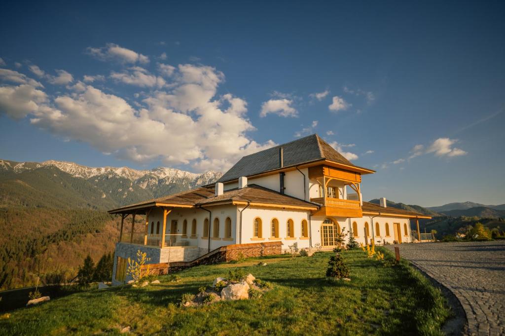 ein großes Haus am Straßenrand in der Unterkunft MATCA Transylvanian Sanctuary in Şimon