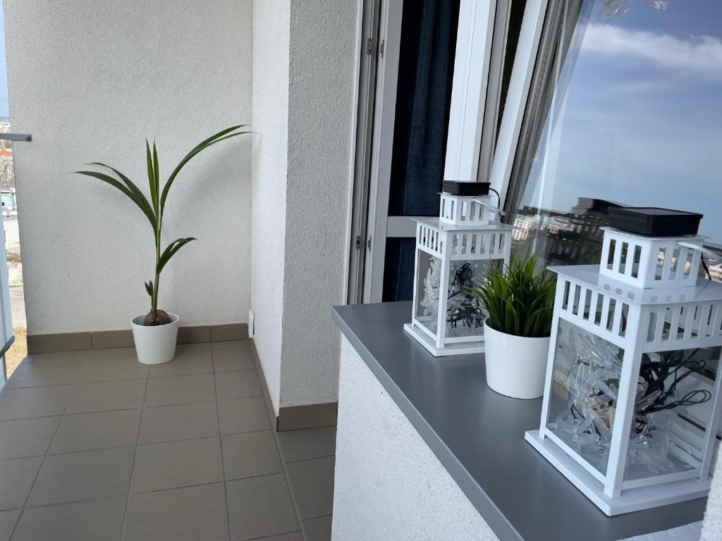 a balcony with two plants and two whiteiaries at Gdynia Riviera Hills in Gdynia