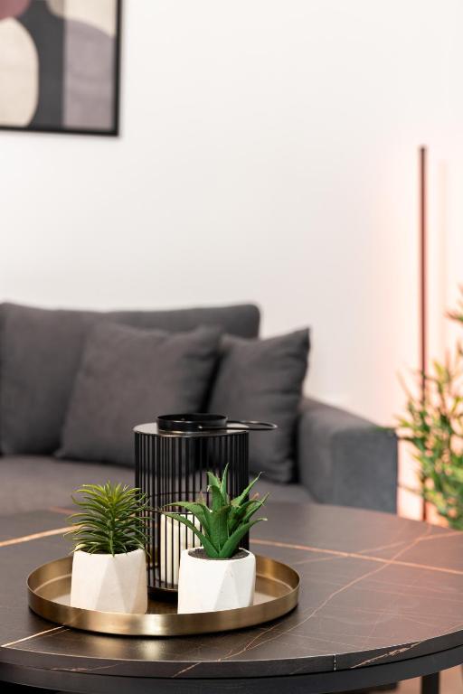 Velvet Luxury Apartments near the City Center by BiNoBi! - 12