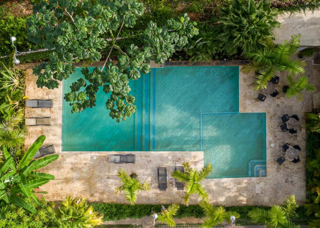 an overhead view of a swimming pool surrounded by trees at Apartamento en Residencial Jardines de Monserrat in Las Terrenas