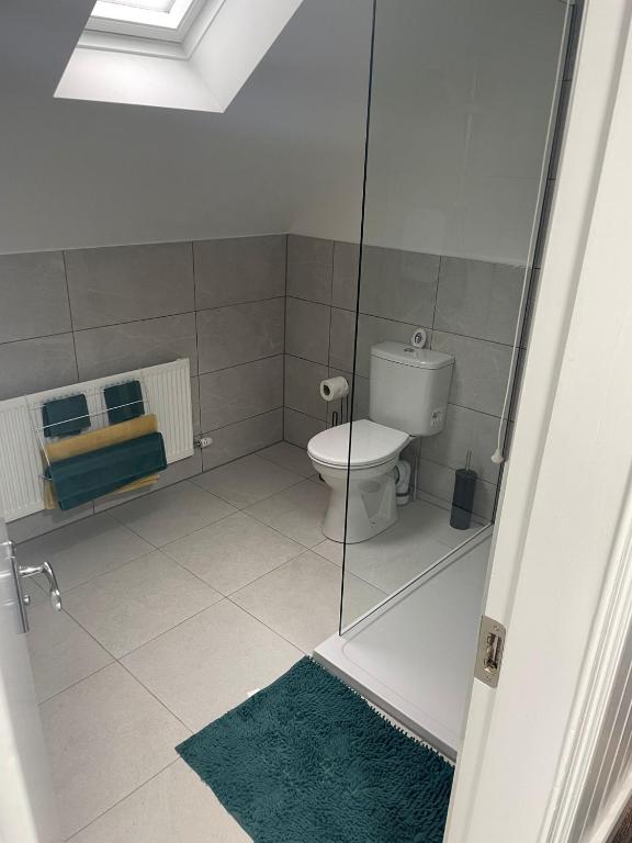 a bathroom with a toilet and a glass shower at KKB accomodation in Moville