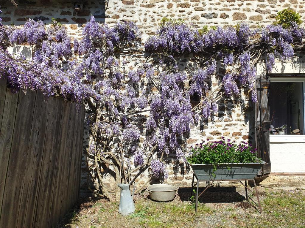 a wreath of purple flowers hanging from a building at Fermette dans les pays de la Loire in Izé