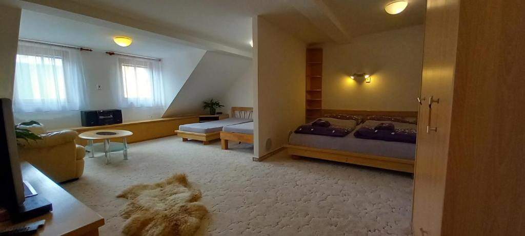 1 dormitorio con 1 cama y sala de estar en Apartmán McVitek en Sušice