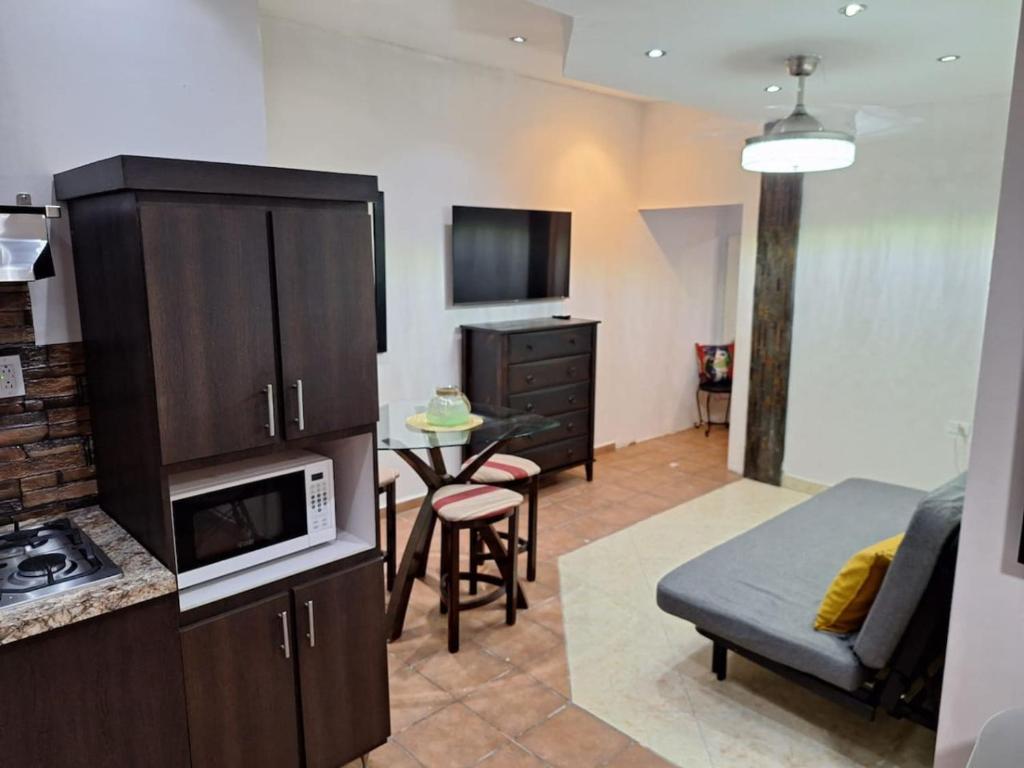 un salon avec une cuisine équipée d'un four micro-ondes dans l'établissement Metropolitan Apartment, à San Juan