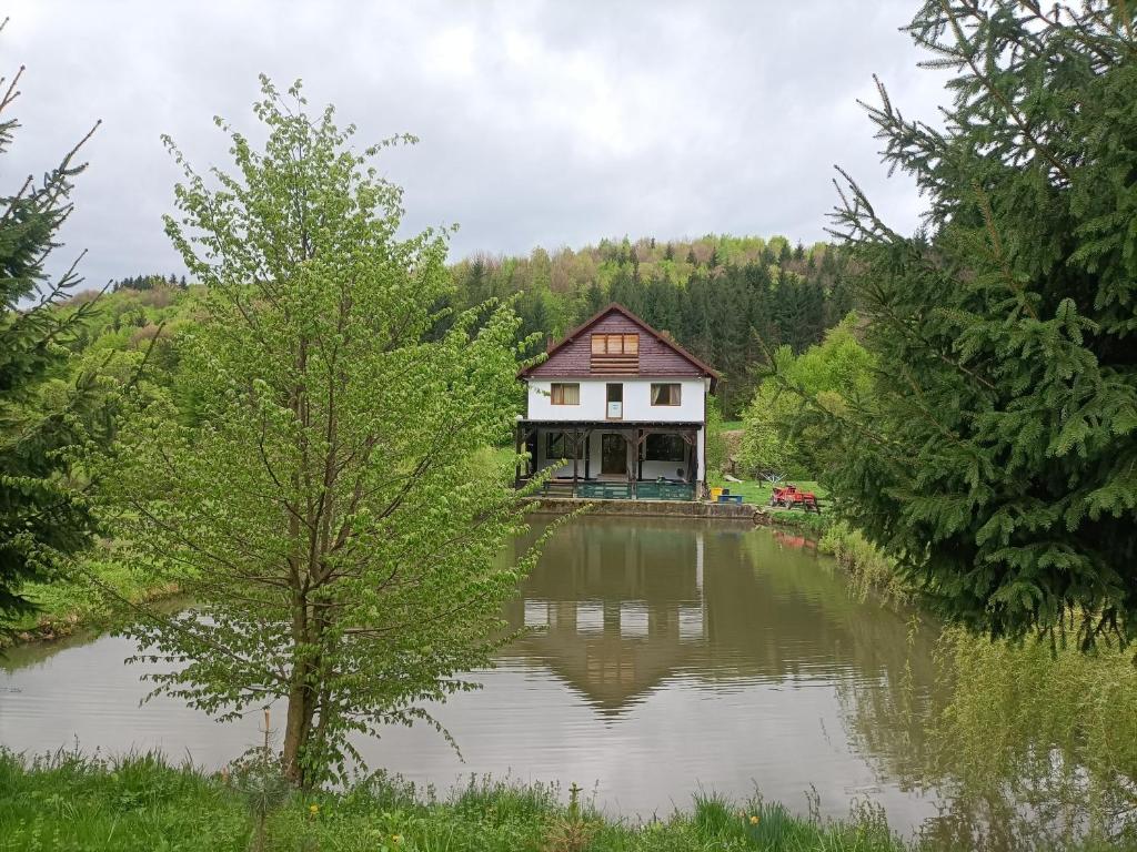 ein Haus inmitten eines Sees mit Bäumen in der Unterkunft Cabana Țibleș 