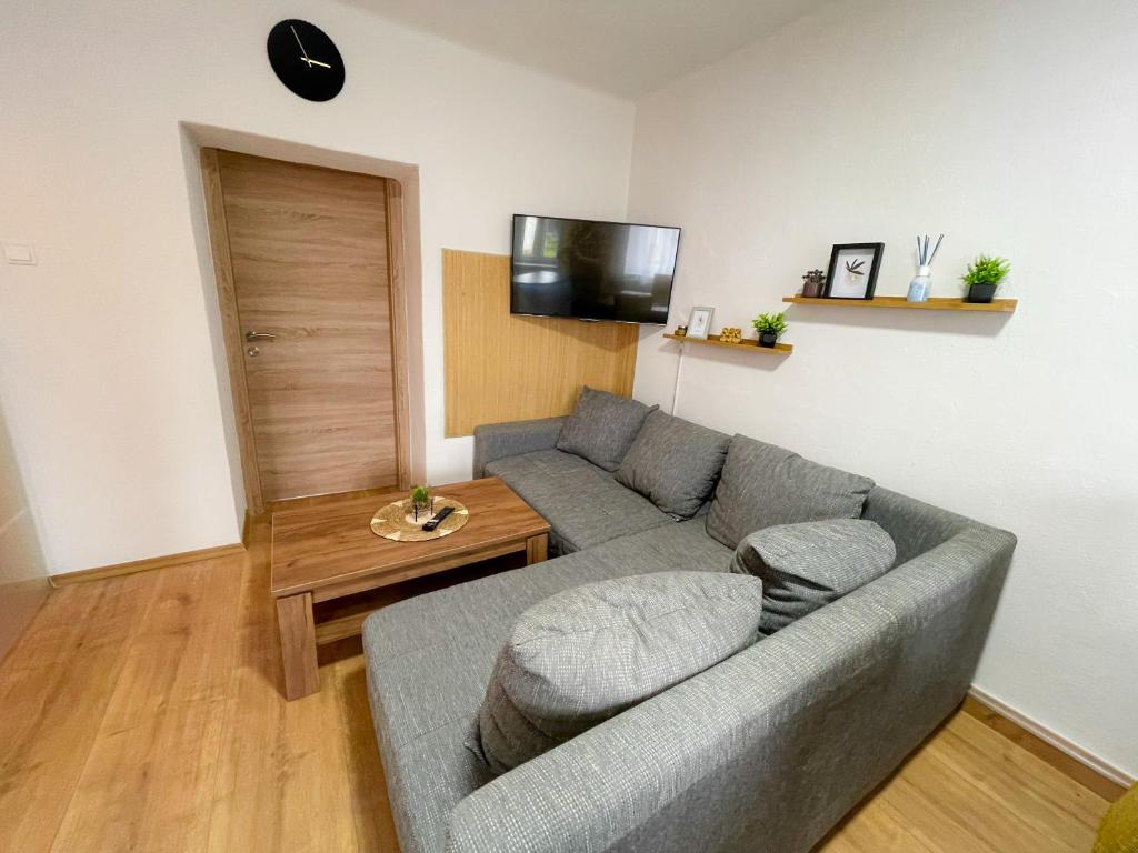 TV a/nebo společenská místnost v ubytování Moderne Ferienwohnung Felbbauer #50
