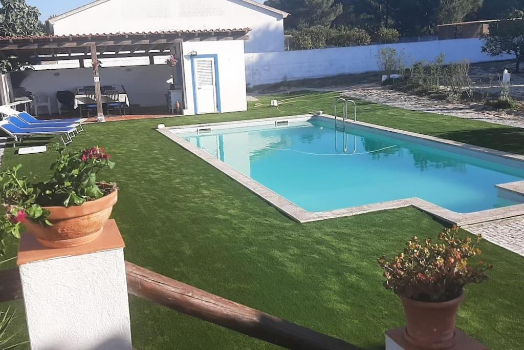 ein Pool in einem Garten mit grünem Gras in der Unterkunft Casa do Tié in Quinta do Anjo