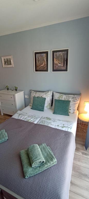 Posteľ alebo postele v izbe v ubytovaní Apartamenty Gościnne Idylla