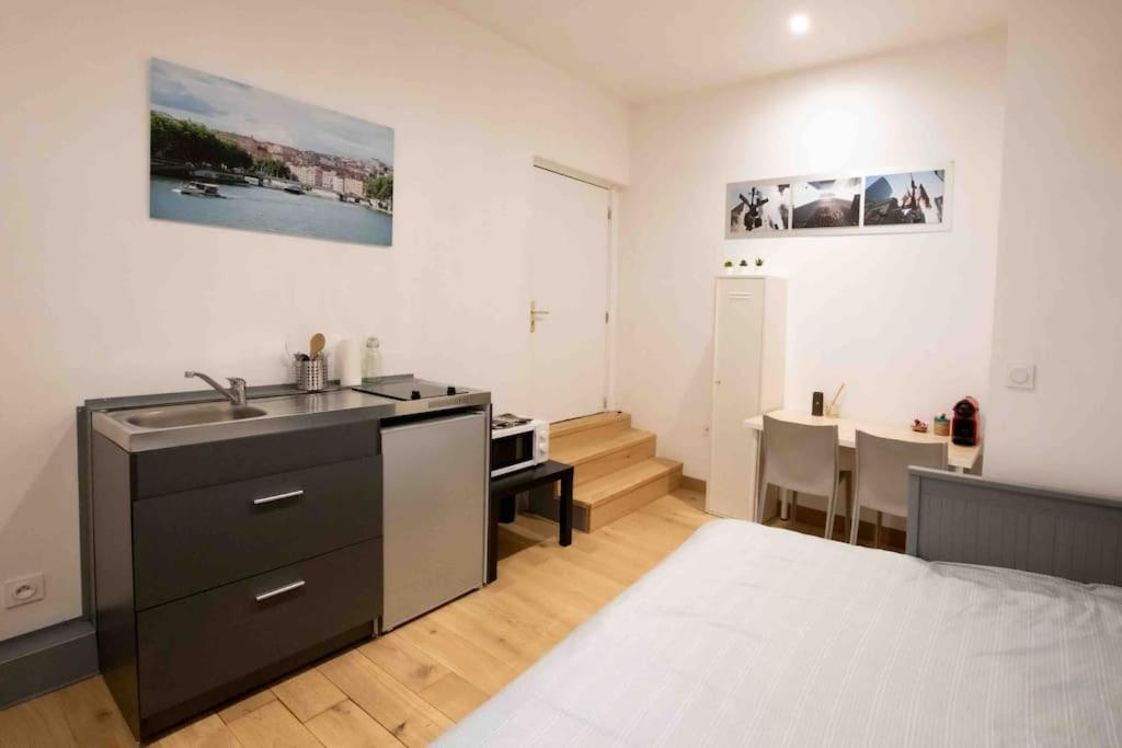 Il comprend une salle de bains pourvue d'un lavabo et une cuisine équipée d'une table. dans l'établissement Studio Face à L’Île Barbe, à Caluire-et-Cuire