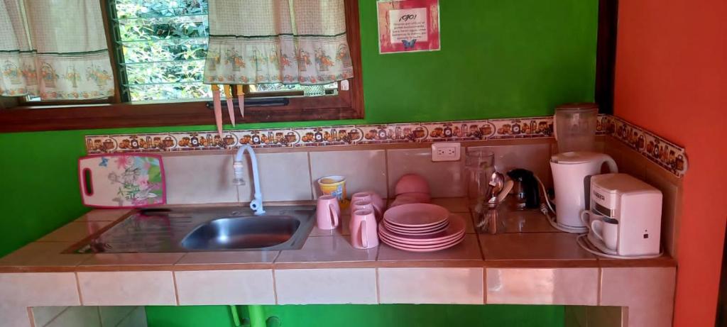 Elle comprend une petite cuisine avec un évier et des murs verts. dans l'établissement Cabañas Zunzun, à San Ramón