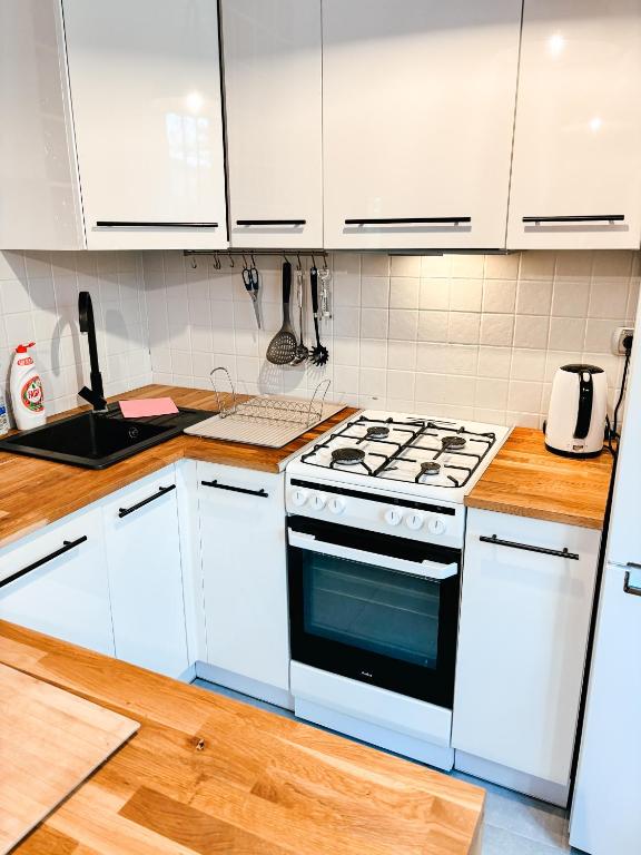 Kuchyň nebo kuchyňský kout v ubytování Apartament Curie