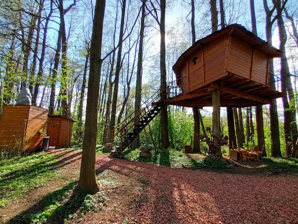 Zahrada ubytování Treehouse v Brdech