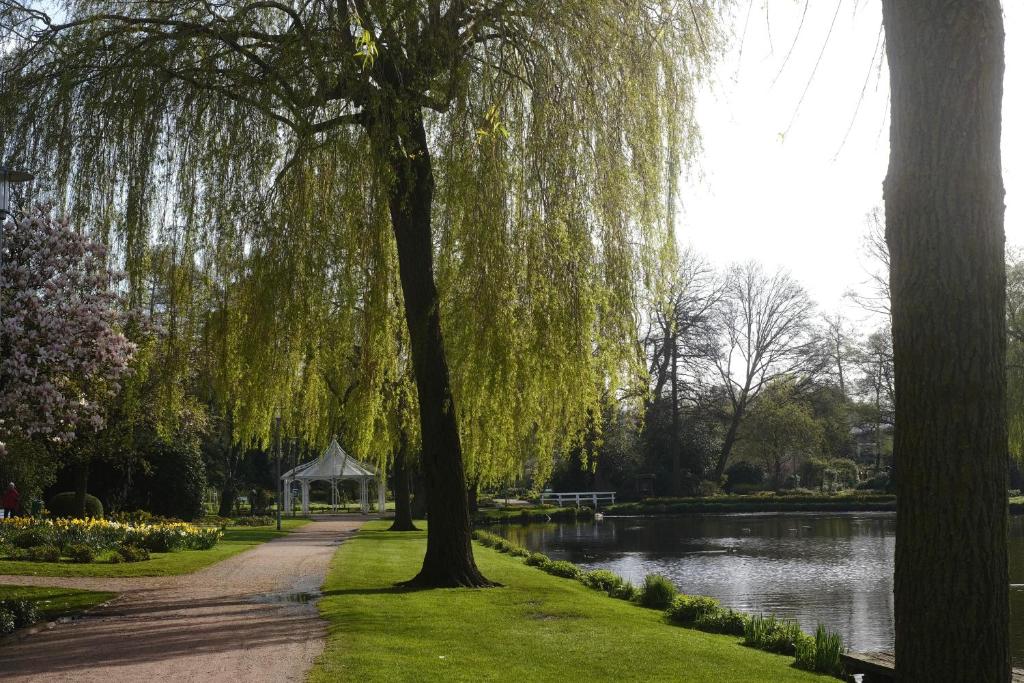 a park with a weeping willow tree and a pond at PARKHOTEL - Rosarium in Uetersen