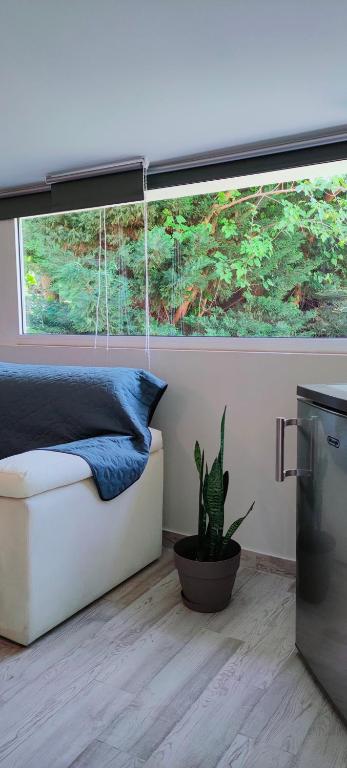 Posezení v ubytování Cosy Garden Studio