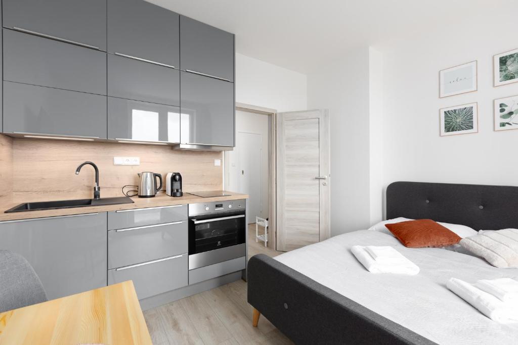 Kuchyň nebo kuchyňský kout v ubytování Apartmán u metra s terasou