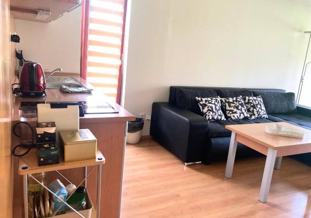 Kuchyň nebo kuchyňský kout v ubytování Apartmán na Valašsku