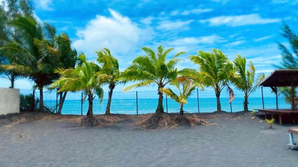 TAHITI - Bungalow Taharuu Surf Hoe - photo 9 - Tahiti, Polynésie